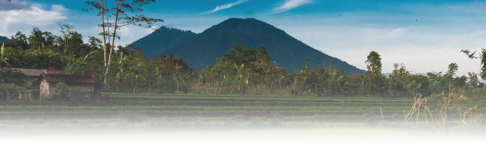 Asia Food Safety Forum 2026